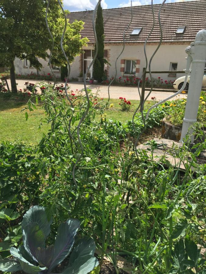 La Ferme De La Maugerie Bed & Breakfast Thoury Dış mekan fotoğraf