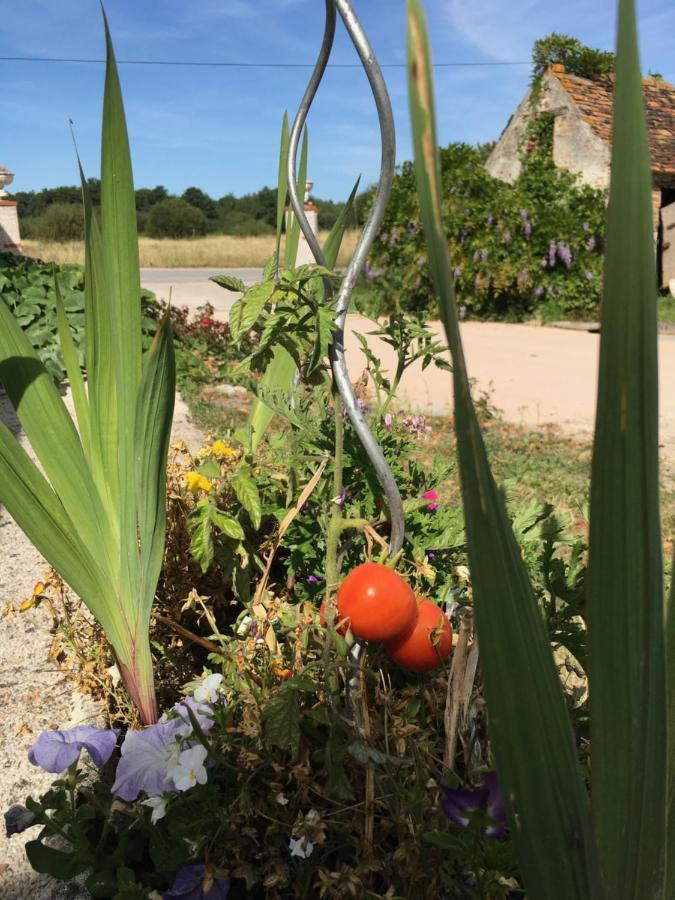 La Ferme De La Maugerie Bed & Breakfast Thoury Dış mekan fotoğraf